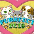 Purrfect Pets