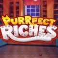 Purrfect Riches
