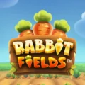 Rabbit Fields