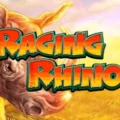 Raging Rhino
