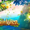 Rainforest