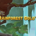 Rainforest Gold