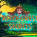 Rainforest Secrets