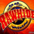 Rawhide