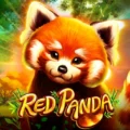 Red Panda