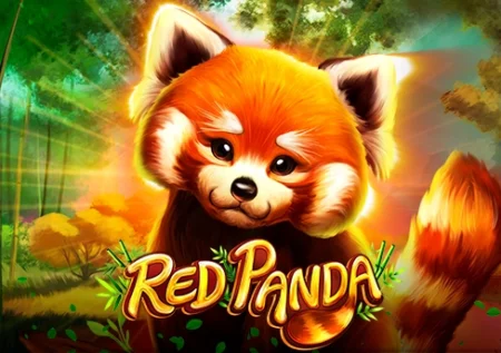 Red Panda