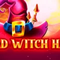 Red Witch Hat