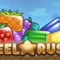 Reel Rush