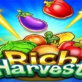 Rich Harvest