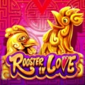 Rooster in Love