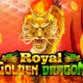Royal Golden Dragon