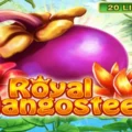 Royal Mangosteen