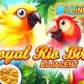 Royal Rio Birds