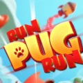 Run Pug Run