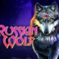 Russian Wolf