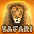 Safari