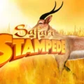 Safari Stampede