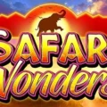 Safari Wonders