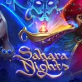 Sahara Nights