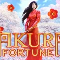 Sakura Fortune