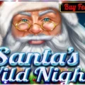 Santa’s Wild Night