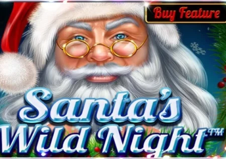 Santa’s Wild Night