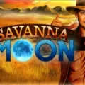Savanna Moon