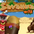 Savanna Wild