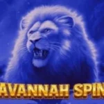 Savannah Spins