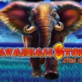 Savannah Storm Xtra Choice
