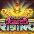 Scarab Rising
