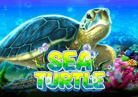 Sea Turtle
