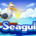 Seagull