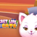 Secret Life of Cats