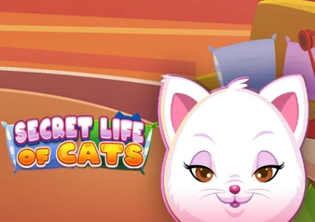 Secret Life of Cats
