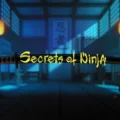 Secrets of Ninja