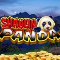 Shaolin Panda