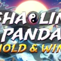 Shaolin Panda: Hold & Win