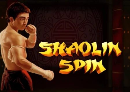 Shaolin Spin