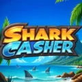 Shark Casher
