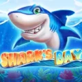 Shark’s Bay