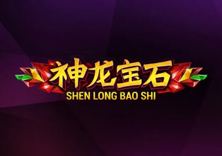 Shen Long Bao Shi