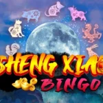Sheng Xiao Bingo