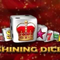 Shining Dice