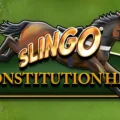Slingo Constitution Hill