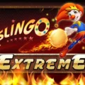 Slingo Extreme