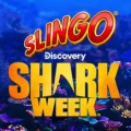 Slingo Shark Week