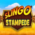 Slingo Stampede