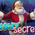 Snowy Secrets