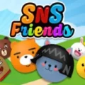 SNS Friends